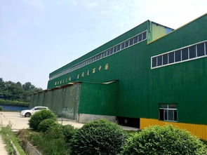 告別“一鍋燴” 渭南以“工業(yè)胃”分揀消化，探索生活垃圾資源化新路徑